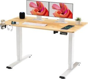 Height Adjustable Electric Standing Desk with Memory Panel