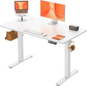 ErGear Height Adjustable Electric Standing Desk