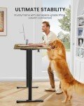 ErGear Electric Height Adjustable Standing Desk 120x60cm