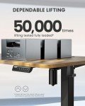ErGear Electric Height Adjustable Standing Desk 120x60cm