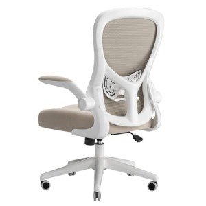 Hbada Ergonomic Desk Chair with Lumbar Support