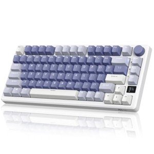RK ROYAL KLUDGE M75 Wireless Mechanical Keyboard