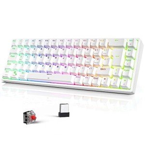 TECURS RGB Wireless Mechanical Keyboard - TKL 65%