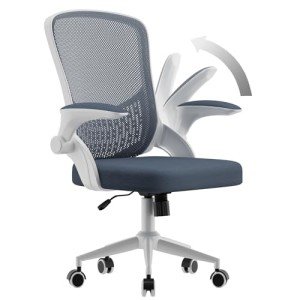 Ergonomic Mesh Desk Chair with 3D Lumbar Support