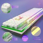 RGB Wireless Keyboard and Mouse Combo - White