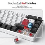 Compact 60% Mechanical Gaming Keyboard with LED Backlight