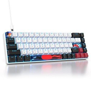 SOLIDEE 65% Compact Mechanical Gaming Keyboard