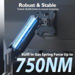 Dual Monitor Desk Mount with Ergonomic Gas Spring Arm