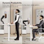 VonHaus Dual Monitor Desk Mount - Adjustable & Flexible