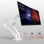 HILLPORT Dual Monitor Arm Mount for 17-30 Inch Screens