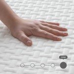 Milliard 10-Inch Memory Foam Queen Size Mattress, Pressure-Relieving - Firm Memory Foam Mattress, Best Mattress for Classic Comfort, Restful Sleep - Soft Memory Foam Mattress