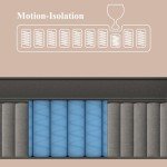 BedStory Plush Queen Mattress 14 Inch - Deep Sleep Hybrid Mattresses Pain Relief - 7-Zone Contouring Soft Bed in a Box, Extra Lumbar Support - 365-Night Trial, Fiberglass-Free, CertiPUR-US Certified