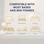 EGOHOME 12 Inch Queen Mattress, Copper Gel Cooling Memory Foam for Back Pain Relief, Therapeutic Bed in a Box, Foam Made in USA, CertiPUR-US Certified, 60x80x12 Black