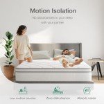 Novilla 10 inch Twin Mattress, Hybrid Mattress Twin Size with Comfortable Foam & Individually Pocket Spring, Twin Size Mattresses in a Box for Back Pain Relief & Support, Certipur-Us Certified