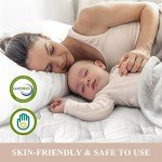 BedStory Plush Queen Mattress 14 Inch - Deep Sleep Hybrid Mattresses Pain Relief - 7-Zone Contouring Soft Bed in a Box, Extra Lumbar Support - 365-Night Trial, Fiberglass-Free, CertiPUR-US Certified