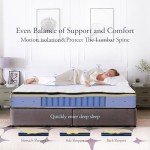 Vaobyk Queen Mattress, 10 inch Hybrid Queen Size Mattresses in a Box, Memory Foam Mattress with Pocket Springs, Pressure Relief & Motion Isolation, CertiPUR-US Certified, Medium Firm
