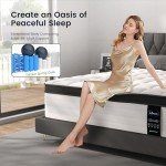 LETMOON Queen Size Mattresses, 14 Inch Hybrid Queen Mattress in a Box, Medium Firm, Memory Foam and Pocket Springs, (Upgrade) Strong Edge Support, Pressure Relief