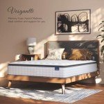 Vesgantti Queen Mattresses, 10 Inch Hybrid Pillow Top Queen Size Mattress in a Box, Memory Foam Pocket Coils Innerspring Mattresses, Fiberglass Free, Pressure Relief, Medium Firm Plush Feel
