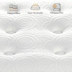 Vesgantti Queen Mattresses, 10 Inch Hybrid Pillow Top Queen Size Mattress in a Box, Memory Foam Pocket Coils Innerspring Mattresses, Fiberglass Free, Pressure Relief, Medium Firm Plush Feel