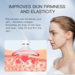 3-in-1 LED Face and Neck Beauty Massager