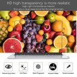 ASUS ROG Zephyrus G14 2024-2025 Screen Protectors 3-Pack