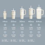 Stanley Quencher H2.0 Tumbler with Straw 14 oz | Flowstate 3-Position Lid | Cup Holder Compatible for Travel | Insulated Stainless Steel Cup | BPA-Free | Rose Quartz 2.0