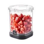 JAYVAR Vegetable Chopper and Fruit Dicer, Fruit Slicer Cup, Food Dicer with Container, Speed Manual Veggie Slicer, Stainless Steel Vegetable Cutting Kitchen Gadgets (Black)