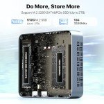 PELADN Mini PC with Intel N100, 16GB RAM