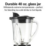 Hamilton Beach Blender and Food Processor Combo – 40oz Glass Jar, Portable Travel Cup, 3-Cup Electric Food Chopper, 700W – Gray/Black (58163)