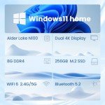 Intel N100 Mini PC - 8GB RAM, 256GB SSD