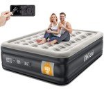 OhGeni Queen Air Mattress with Built-in Pump