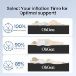OhGeni Queen Air Mattress with Built-in Pump