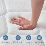 Selene Bedding Full Size Mattresses, 10 Inch Mattress Full with Pocket Spring and Memory Foam for Pressure Relief, Motion Isolation, Edge Support, Medium Firm Mattress in a Box, CertiPUR-US, Grey