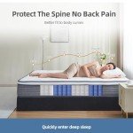 Selene Bedding Full Size Mattresses, 10 Inch Mattress Full with Pocket Spring and Memory Foam for Pressure Relief, Motion Isolation, Edge Support, Medium Firm Mattress in a Box, CertiPUR-US, Grey