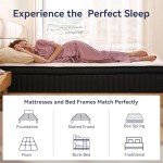 CRYREINA Queen Mattress, 12 Inch Queen Hybrid Mattress in a Box, Upgrade Individually Pocket Springs, Medium Firm, Pressure Relief, Breathable Comfort and Durable, CertiPUR-US Certified