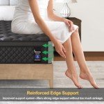 VISCOUNTESS Queen Mattress, 14 Inch Hybrid Mattresses Euro Top Medium Firm for Back & Lumbar Support, 100 Night Trial, Individual Pocket Spring Bed for Motion Isolation & Pressure Relief