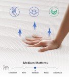 elitspace Queen Mattresses, 10 Inch Queen Size Mattress, Medium Firm Feel Memory Foam & Individual Pocket Springs, Pressure Relief & Support, Hybrid Mattress in a Box, CertiPUR-US Certified
