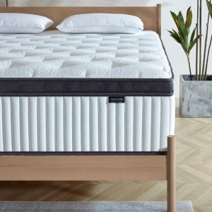 Tegeniss Queen Mattress, 12 Inch Queen Size Mattresses in a Box,Memory Foam Hybrid Mattress,with Individual Pocket Spring for Motion Isolation & Silent Sleep, Pressure Relief,Plush Firmness.