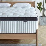 Tegeniss Queen Mattress, 12 Inch Queen Size Mattresses in a Box,Memory Foam Hybrid Mattress,with Individual Pocket Spring for Motion Isolation & Silent Sleep, Pressure Relief,Plush Firmness.