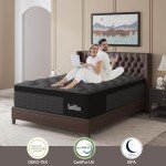 Duchessz Queen Mattress, 12 Inch Hybrid Mattresses Black with Gel Memory Foam and Individually Pocket Innerspring Medium Firm for Motion Isolation, Edge Support, 100 Night Trial