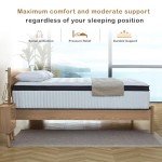 Tegeniss Queen Mattress, 12 Inch Queen Size Mattresses in a Box,Memory Foam Hybrid Mattress,with Individual Pocket Spring for Motion Isolation & Silent Sleep, Pressure Relief,Plush Firmness.