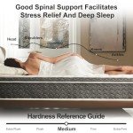 Ablyea Queen Mattress 12 Inch Hybrid Mattress Queen Size - Memory Foam & Individually Pocket Coils Springs | Pressure Relief | Motion Isolation, Edge Support | CertiPUR-US Certified | Medium Firm