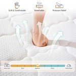 QUENSIYE Mattress,Memory Foam Hybird Queen Mattress in a Box,Mattresses with Individually Wrapped Pocket Springs,Motion Isolation,Pressure Relief,Strong Edge Support,Fiberglass Free (12 Inch, Queen)