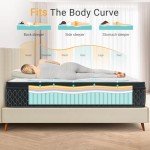 QUENSIYE Mattress,Memory Foam Hybird Queen Mattress in a Box,Mattresses with Individually Wrapped Pocket Springs,Motion Isolation,Pressure Relief,Strong Edge Support,Fiberglass Free (12 Inch, Queen)