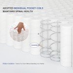 Hotkid,Queen Mattress,10 Inch High Density Foam Hybrid Mattresses in a Box with Individual Pocket Spring,Queen Size mattresses,Breathable Supportive and Pressure Relief,Guest and Kids Bedroom