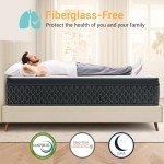 QUENSIYE Mattress,Memory Foam Hybird Queen Mattress in a Box,Mattresses with Individually Wrapped Pocket Springs,Motion Isolation,Pressure Relief,Strong Edge Support,Fiberglass Free (12 Inch, Queen)