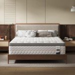 SLEEP100 Queen Mattress 14 Inch, 5-Zone Deep Sleep Firm Mattress with Extra Lumbar & Shoulder Support, Hotel Collection Hybrid Mattresses Pain Relief - Fiberglass Free & No Odor - 365 Night Trial