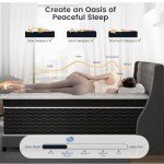 Ruoysun 12 inch Queen Mattress, Medium Plush Hybrid Mattress Queen Size with Gel Memory Foam & Pocket Spring, Cooling & Breathable Bed Mattresses in a Box, 100 Night Sleep Trial, CertiPUR-US Certified