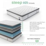 SLEEP100 Queen Mattress 14 Inch, 5-Zone Deep Sleep Firm Mattress with Extra Lumbar & Shoulder Support, Hotel Collection Hybrid Mattresses Pain Relief - Fiberglass Free & No Odor - 365 Night Trial