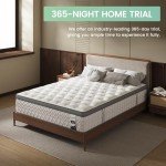 SLEEP100 Queen Mattress 14 Inch, 5-Zone Deep Sleep Firm Mattress with Extra Lumbar & Shoulder Support, Hotel Collection Hybrid Mattresses Pain Relief - Fiberglass Free & No Odor - 365 Night Trial